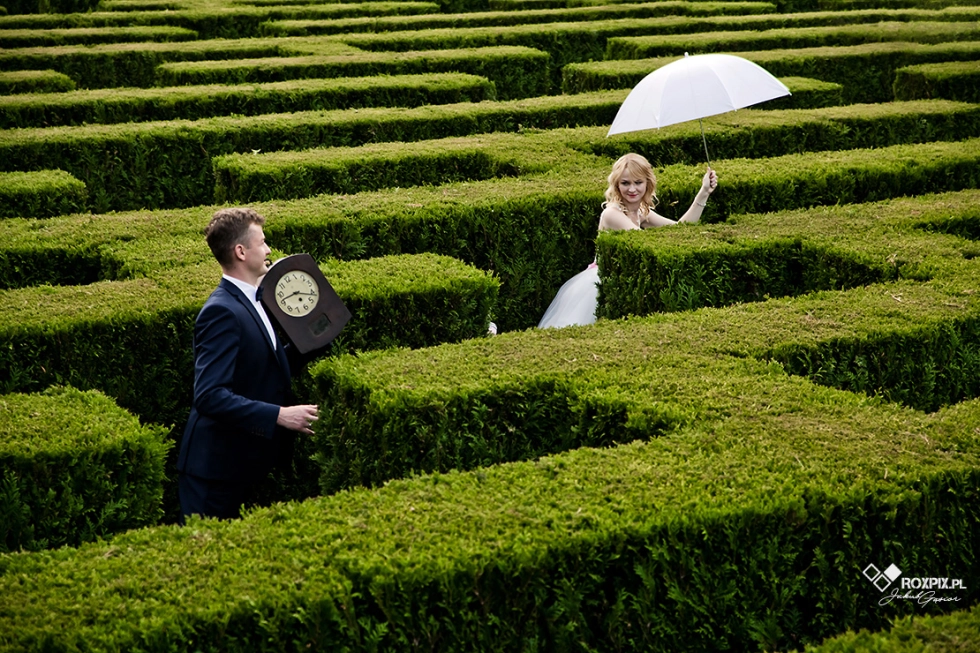 Alicja w Krainie Czarów