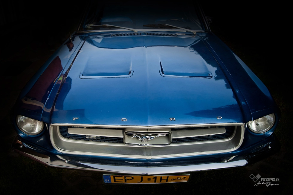 Reportaż Ślubny Kariny i Pawła